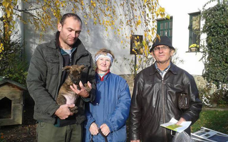 Gércei nagyfiú 2016.11.20-án gazdis lett